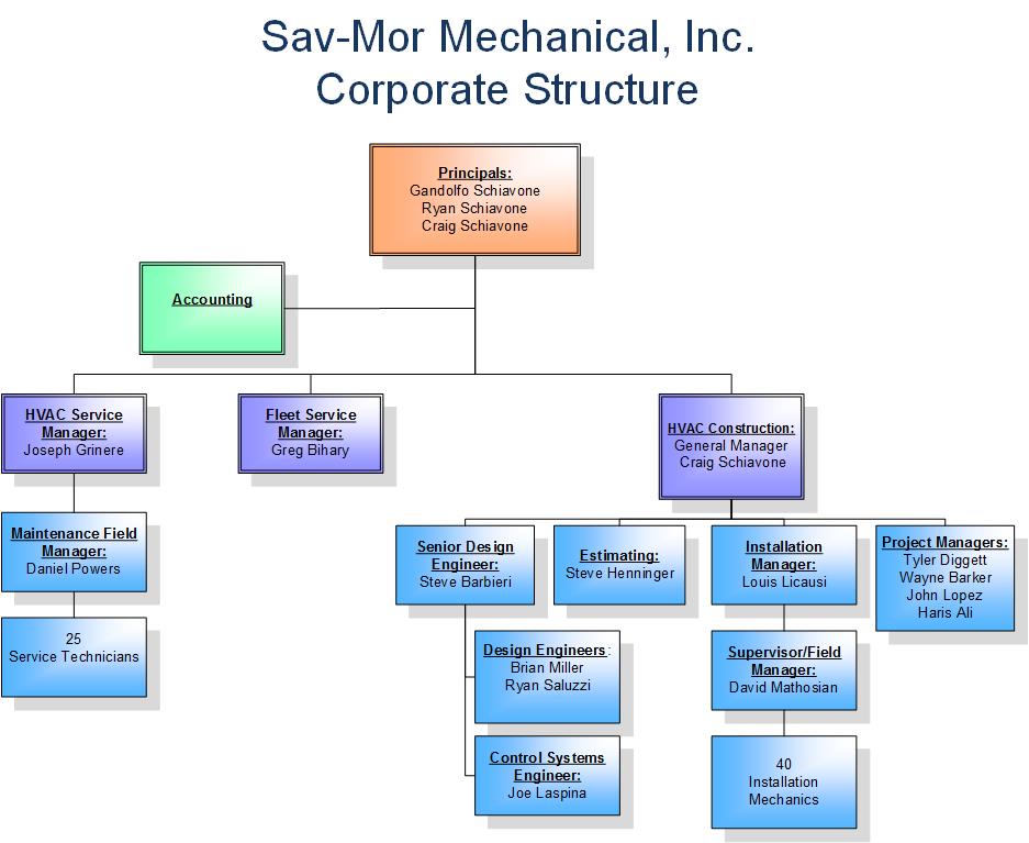 Sav More Corporate Structure